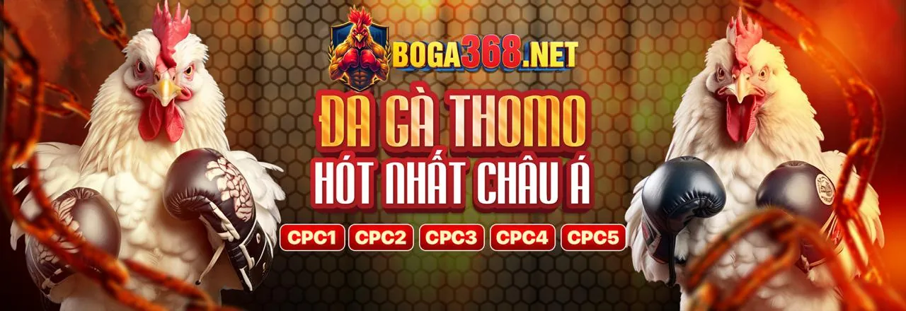 Công nghệ mã hóa dữ liệu bảo mật của betvnd8